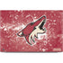 NHL Arizona Coyotes Frozen Dell XPS Skin